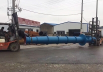新疆卧式轴流泵厂家